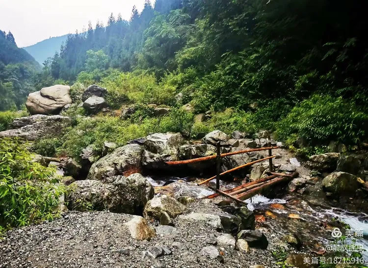 《蟠龙谷》——四川省彭州市小洞鱼镇蟠龙谷景区（手机拍摄）